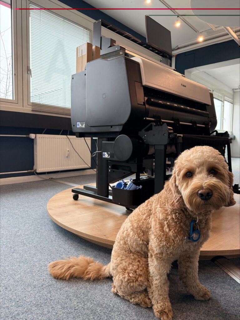 Ein Hund vor einem Plotter